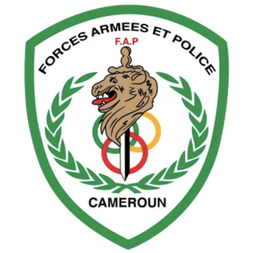 FAP Basketball artwork 1