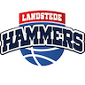 Landstede Hammers