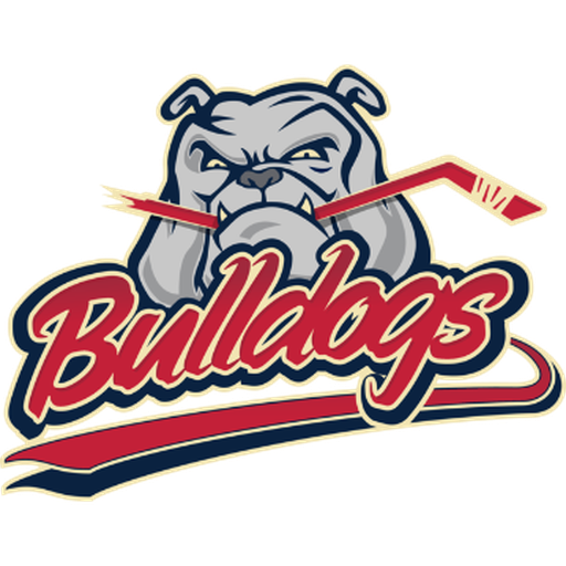 Bulldogs Liège artwork 1