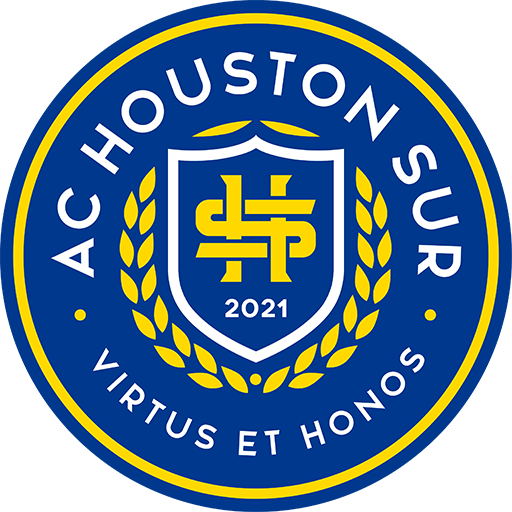 AC Houston Sur artwork 1