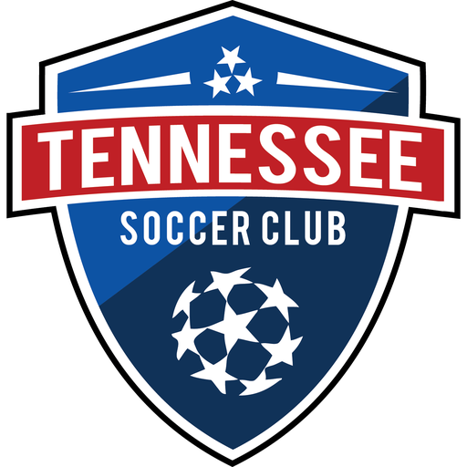 Tennessee SC artwork 1