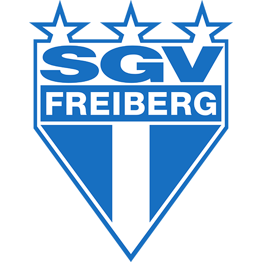 SGV Freiberg artwork 1