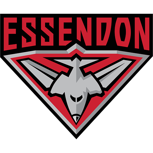 Essendon Bombers Women artwork 1