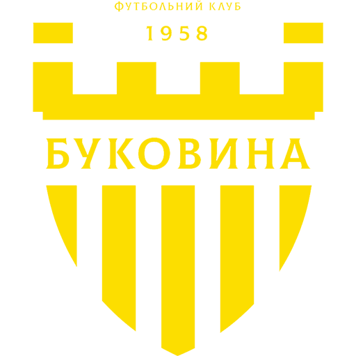 Bukovyna Chernivtsi artwork 1