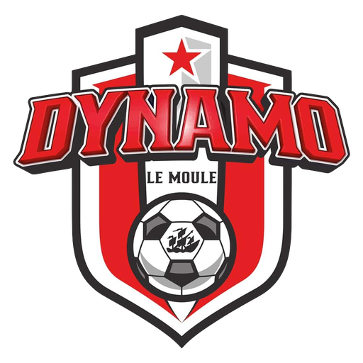 Dynamo Le Moule badge