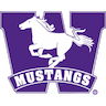 Western Mustangs