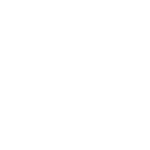 Dinamo-2 Tbilisi badge