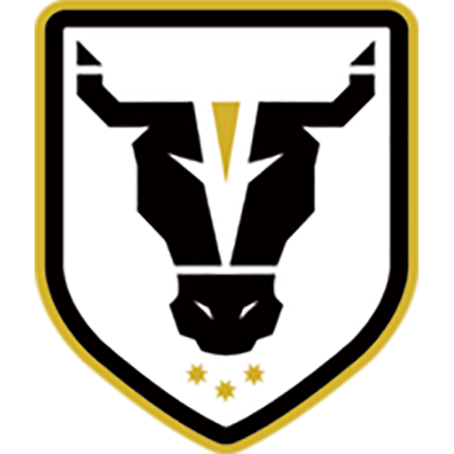 Bulls FC Academy badge