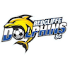 Redcliffe Dolphins
