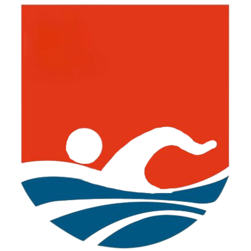 China Swimming Women artwork 1