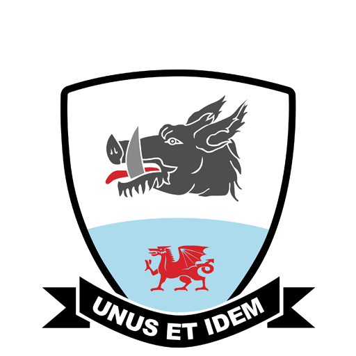 Baglan Dragons artwork 1
