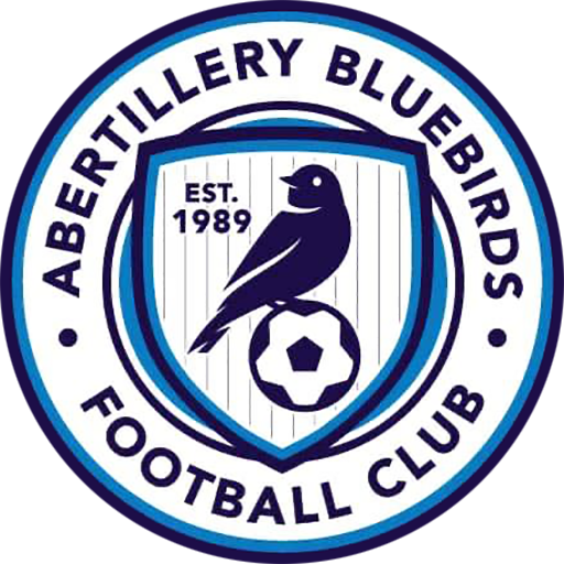 Abertillery Bluebirds artwork 1