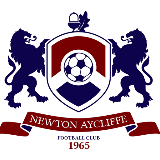 Newton Aycliffe badge