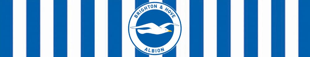 Brighton banner
