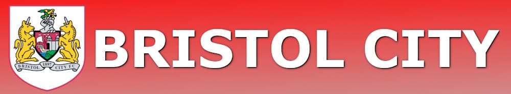 Bristol City banner