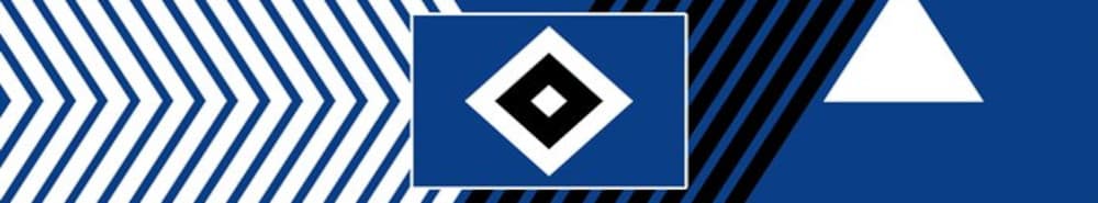 Hamburg banner