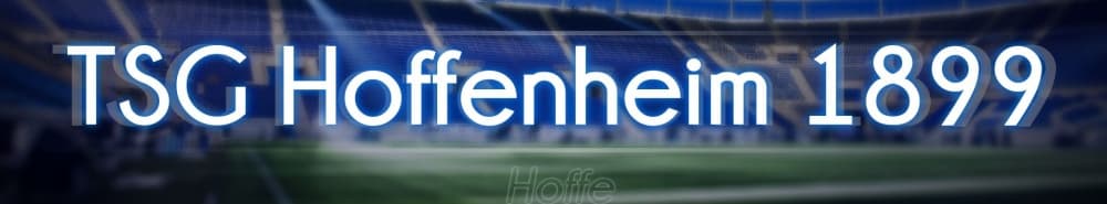 Hoffenheim banner