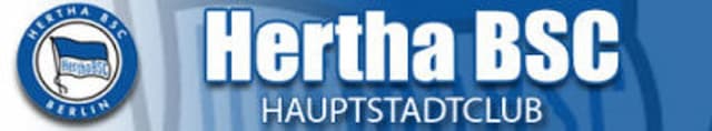 Hertha artwork 4