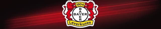 Leverkusen artwork 4