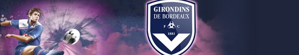 Bordeaux banner