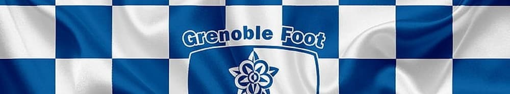 Grenoble banner