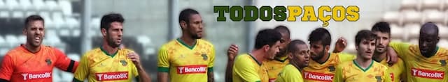 F.C. Paços de Ferreira artwork 4