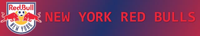 New York Red Bulls artwork 4