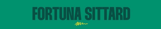 Fortuna Sittard artwork 4