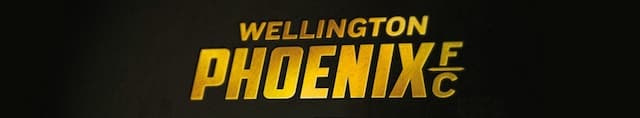 Wellington Phoenix artwork 4