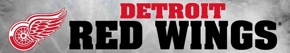 Detroit Red Wings banner
