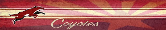 Arizona Coyotes artwork 4