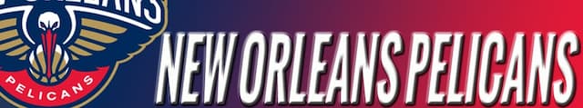 New Orleans Pelicans artwork 4