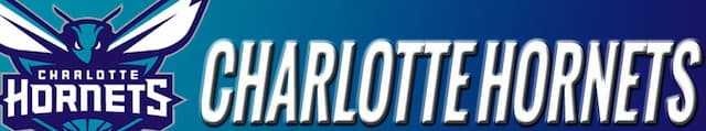 Charlotte Hornets artwork 4