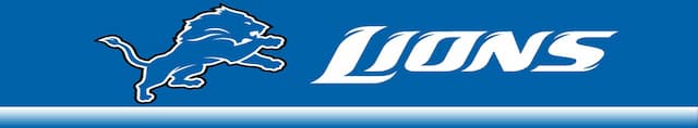 Detroit Lions artwork 4