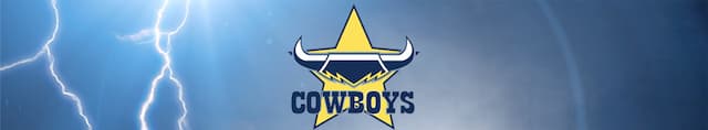 North Queensland Cowboys artwork 4