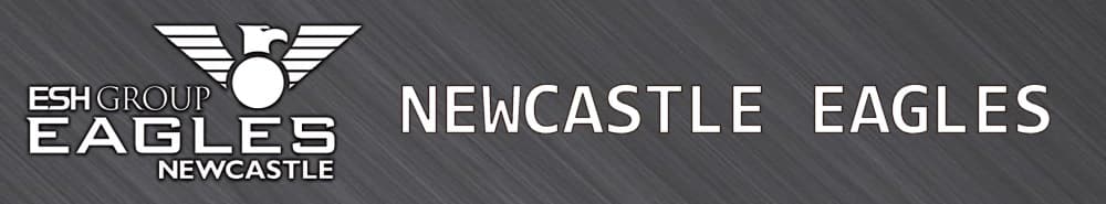 Newcastle Eagles banner