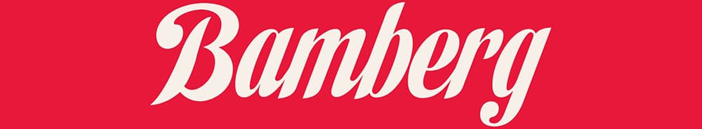 Brose Bamberg banner