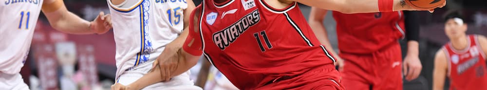 Shenzhen Leopards banner