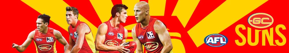 Gold Coast Football Club banner