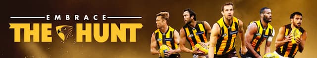 Hawthorn Football Club artwork 4
