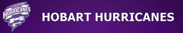 Hobart Hurricanes artwork 4