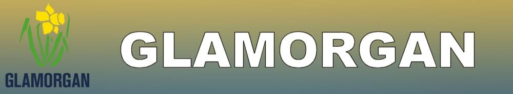 Glamorgan t20 banner