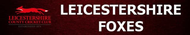 Leicestershire Foxes artwork 4