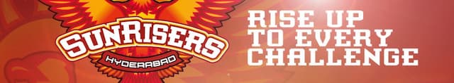 Sunrisers Hyderabad artwork 4