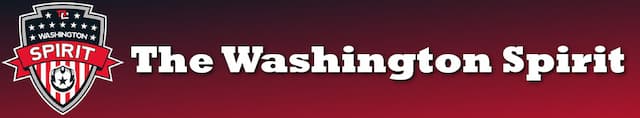 Washington Spirit artwork 4