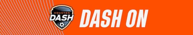 Houston Dash artwork 4