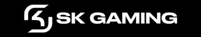 SK Gaming artwork 4