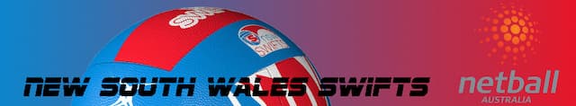 New South Wales Swifts artwork 4