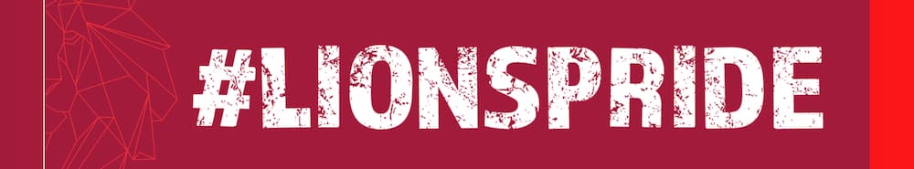 Lions Super Rugby banner