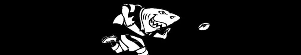 The Sharks banner